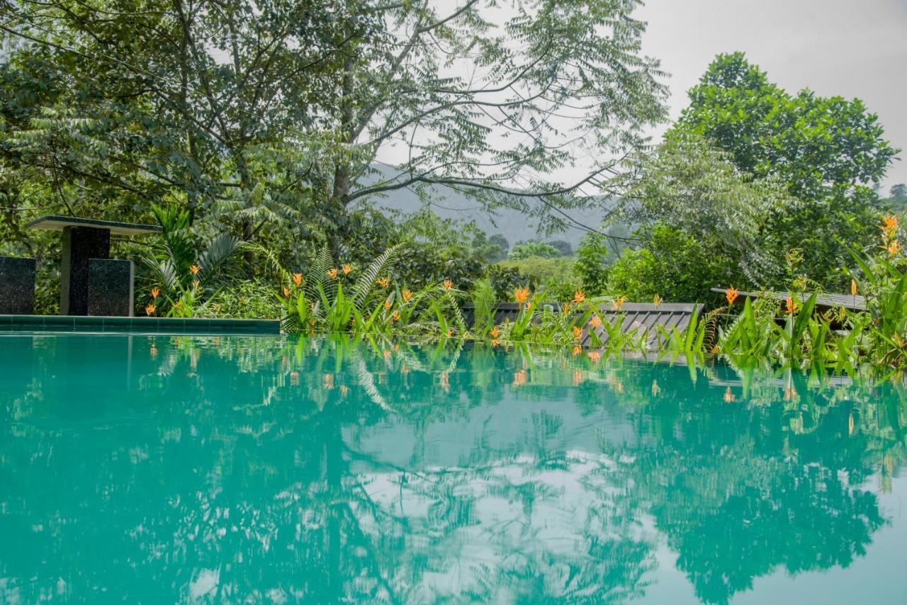 Sinharaja Forest Gate Денияйя Экстерьер фото