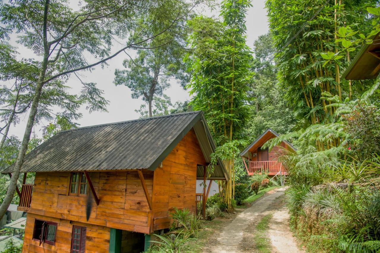 Sinharaja Forest Gate Денияйя Экстерьер фото