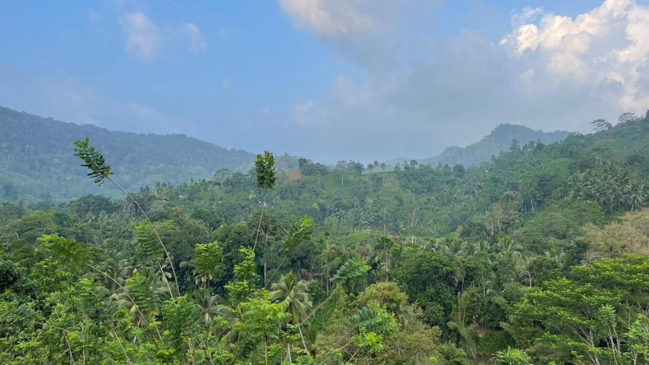 Sinharaja Forest Gate Денияйя Экстерьер фото