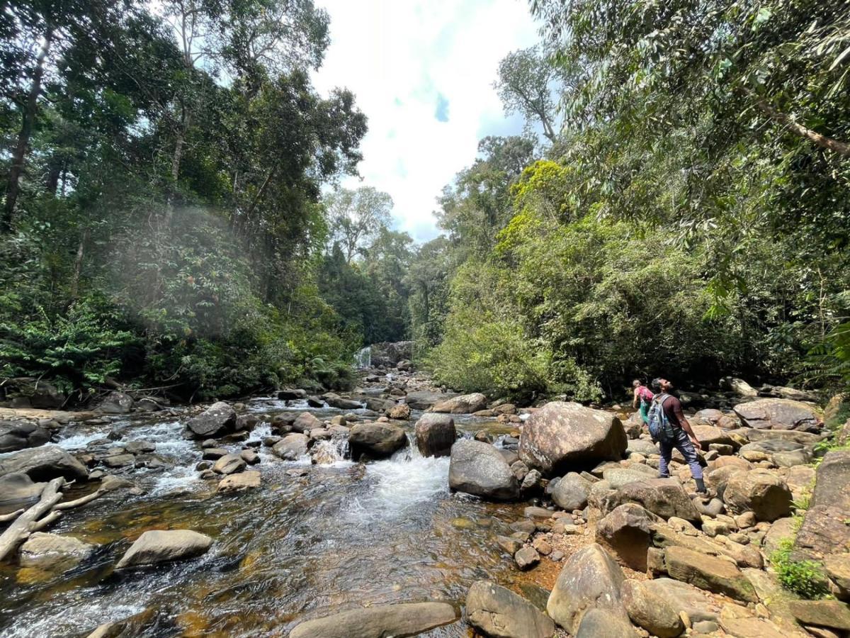 Sinharaja Forest Gate Денияйя Экстерьер фото