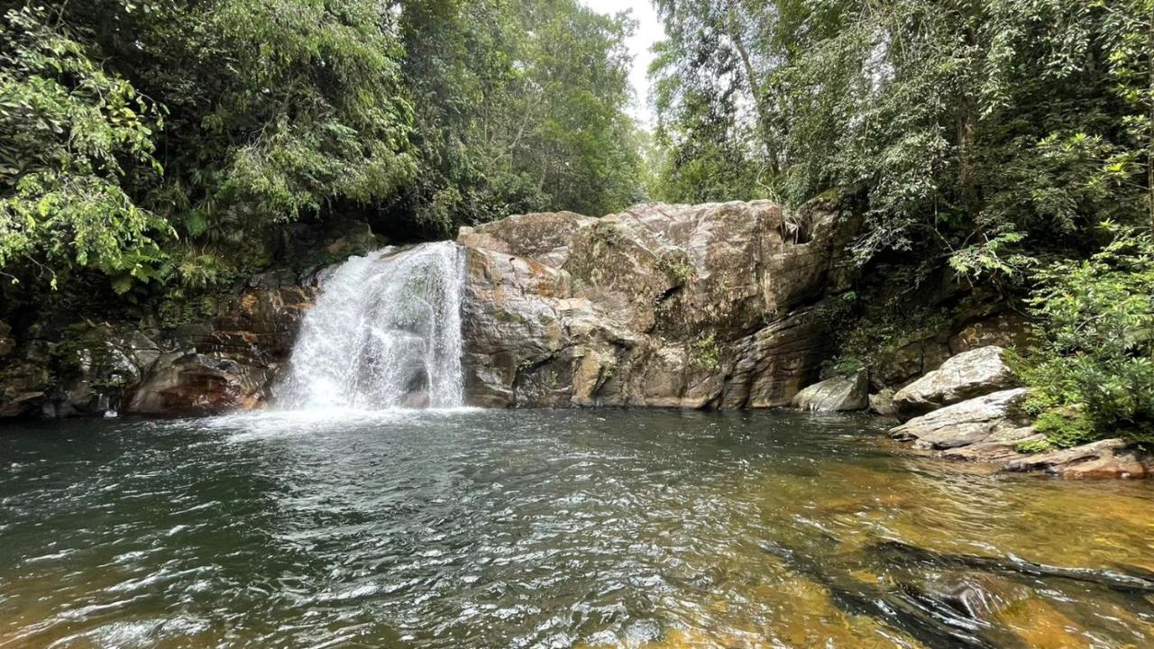 Sinharaja Forest Gate Денияйя Экстерьер фото