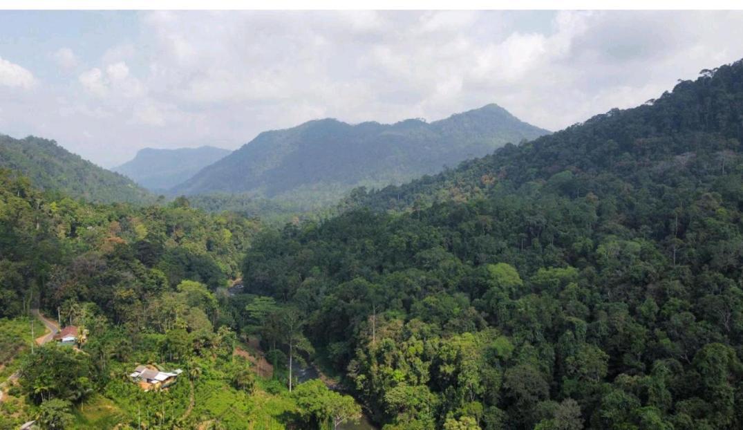 Sinharaja Forest Gate Денияйя Экстерьер фото