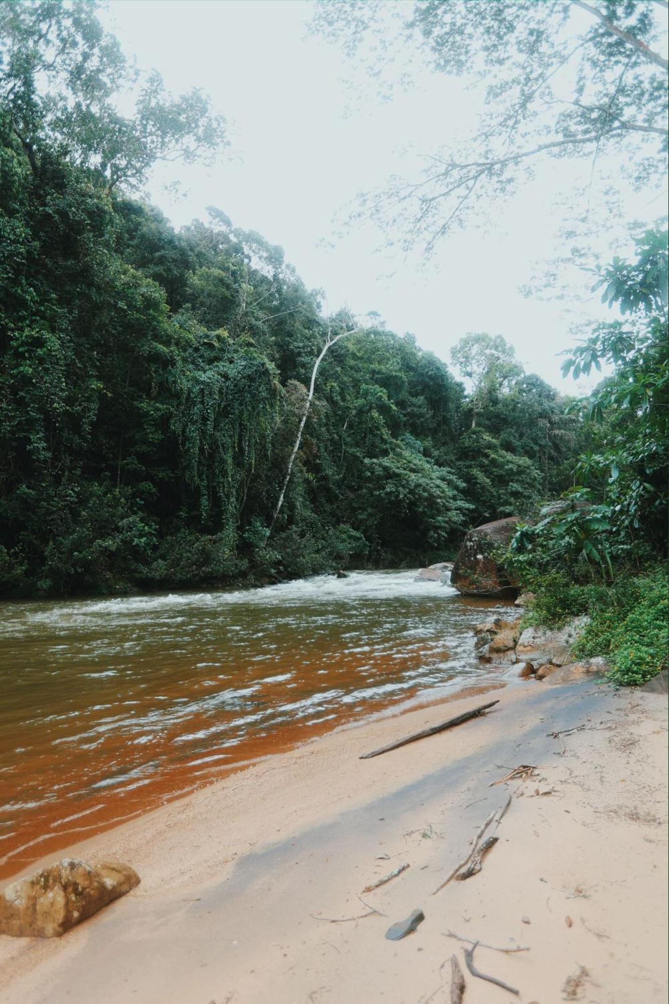 Sinharaja Forest Gate Денияйя Экстерьер фото